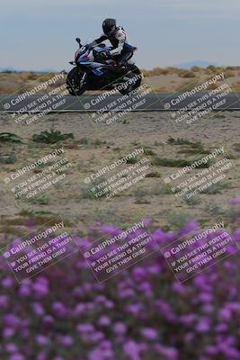 media/Jan-14-2023-SoCal Trackdays (Sat) [[497694156f]]/Turn 14 Exit Bloomig (145pm)/